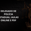 DELEGADO DE POLÍCIA ESTADUAL